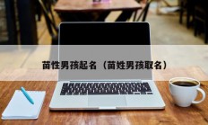 苗性男孩起名（苗姓男孩取名）