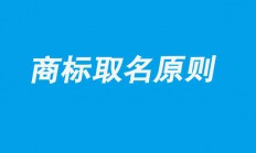 幼儿品牌起名(幼儿品牌名字)
