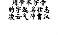 王字起名女孩(王字起名女孩两字)