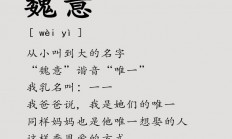 魏起名女孩(魏字取名女孩名字)