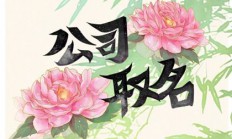 品牌起名网站(品牌起名宝典)