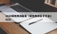 2020宋姓男孩起名（宋姓男孩名字大全2022）