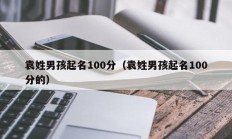 袁姓男孩起名100分（袁姓男孩起名100分的）