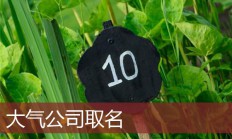 集团公司起名(集团公司起名四个字)