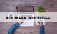 任姓男孩起名属猴（任姓男孩名字2020）