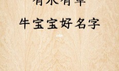 品牌起名牛宝宝(好听的牛宝宝起名)