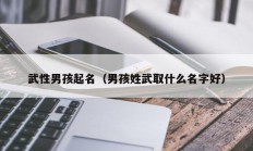 武性男孩起名（男孩姓武取什么名字好）