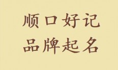 党内品牌起名(党内品牌的作用)