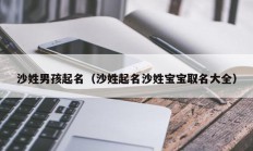 沙姓男孩起名（沙姓起名沙姓宝宝取名大全）
