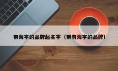 带海字的品牌起名字（带有海字的品牌）
