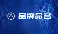 起名品牌(产品品牌查询官网)