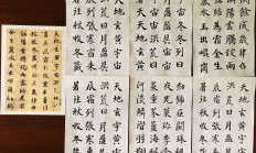 隋姓男孩起名(隋姓男孩起名富有诗意的名字)