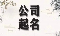 免费公司起名软件(免费公司起名软件排行榜)