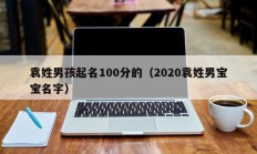 袁姓男孩起名100分的（2020袁姓男宝宝名字）