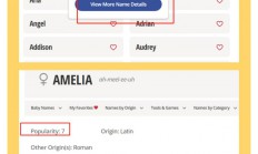 英文品牌起名网(英文品牌起名网名大全)