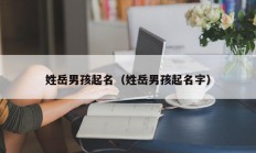 姓岳男孩起名（姓岳男孩起名字）