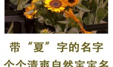 夏起名字男孩(夏起名字男孩尊涛)
