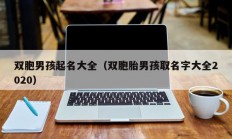 双胞男孩起名大全（双胞胎男孩取名字大全2020）