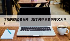丁姓男孩起名猴年（姓丁男孩取名简单又大气）