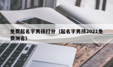 免费起名字男孩打分（起名字男孩2021免费测名）