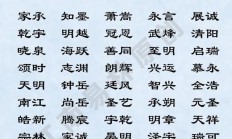 朱氏起名大全男孩名字(朱氏男孩子取名字大全)