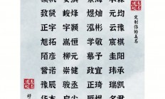 杨氏起名大全男孩名字(杨氏起名大全男孩名字2024年)