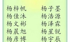 姓杨男孩起名(姓杨男孩起名字)