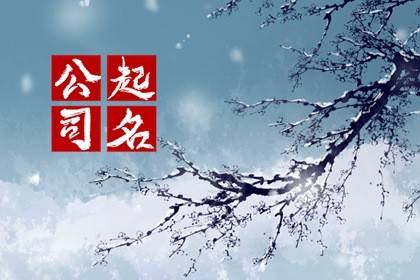 文化公司起名(文化公司起名字大全)