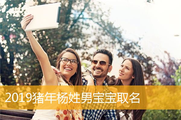 杨姓男孩起名(杨姓男孩起名100分)