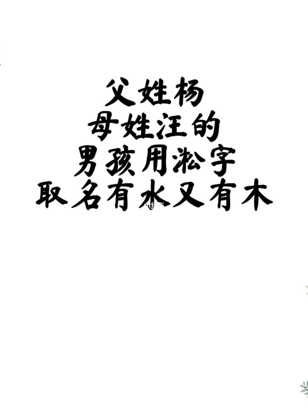 杨姓男孩起名(杨姓男孩起名100分)