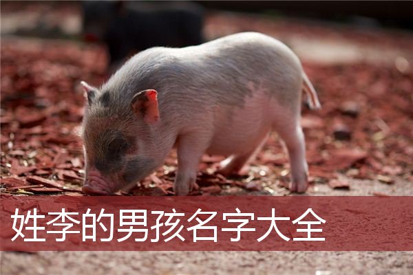 姓李男孩起名(姓李男孩取啥名好)