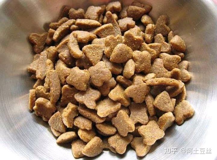 狗粮品牌起名(狗粮商标名字大全)