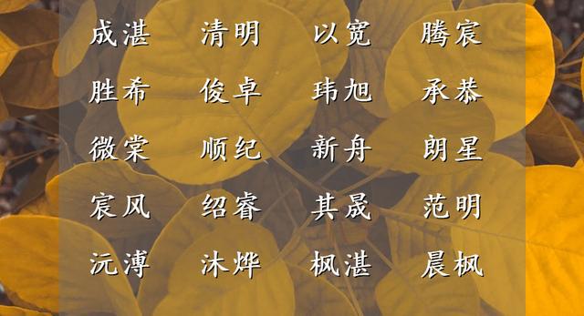 温起名字男孩(温姓取名100分)