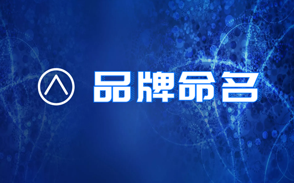 起名品牌(产品品牌查询官网)