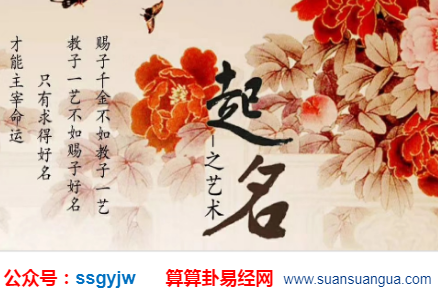 周易免费公司起名(周易免费公司起名网大全)